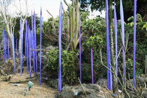 Neodymium Reeds, 2014, by Dale Chihuly, exhibited in the Spiny Forest of Madagascar